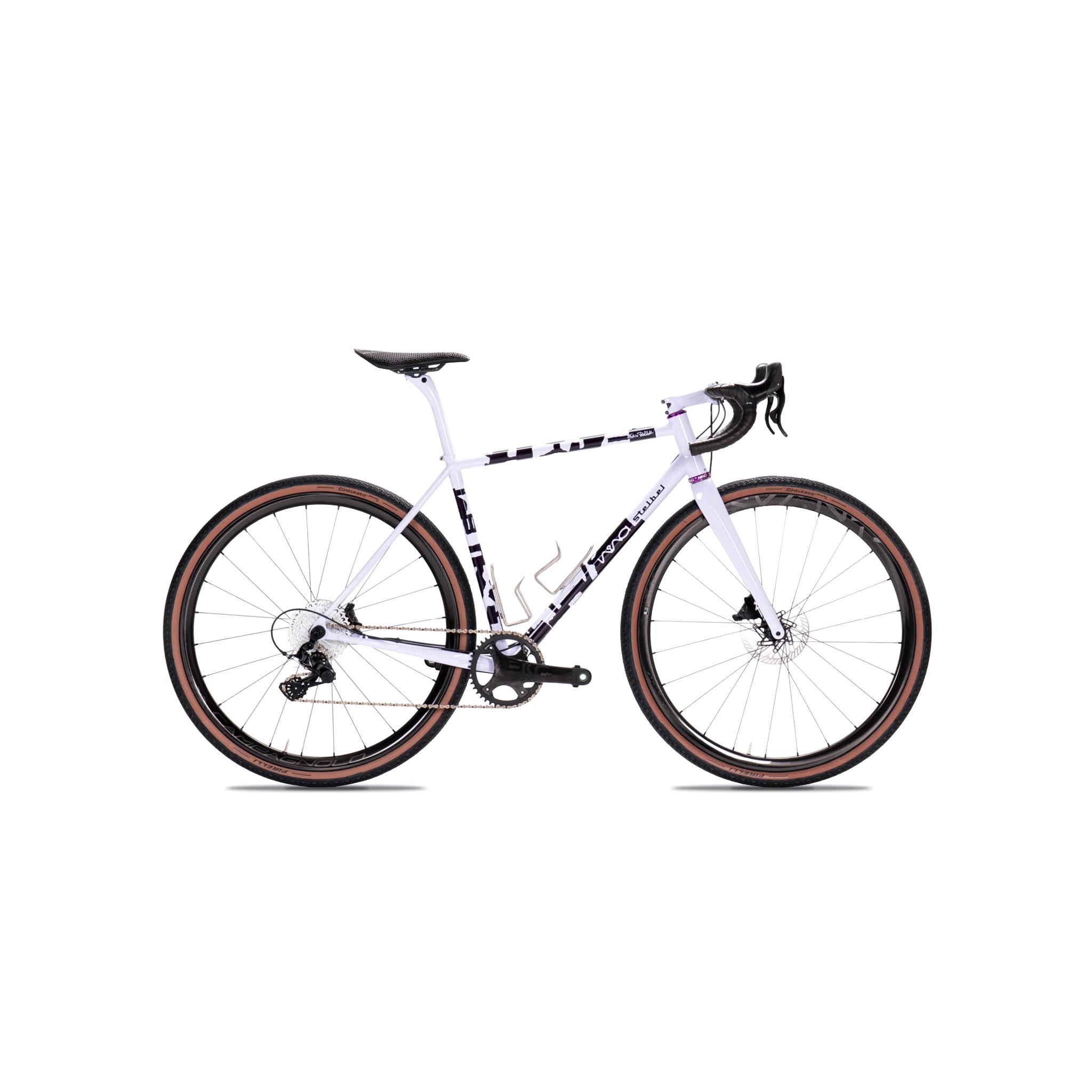 Stelbel Nina